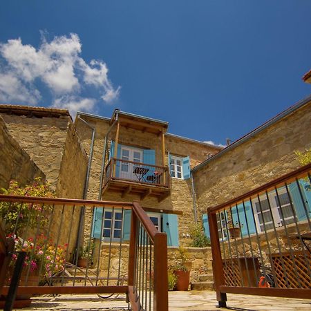 Dolphin Guest House And Studios توشني المظهر الخارجي الصورة