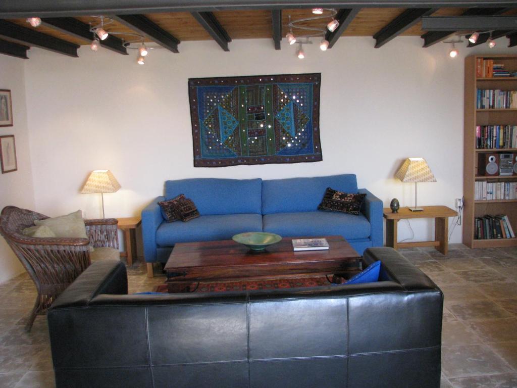 Dolphin Guest House And Studios توشني الغرفة الصورة